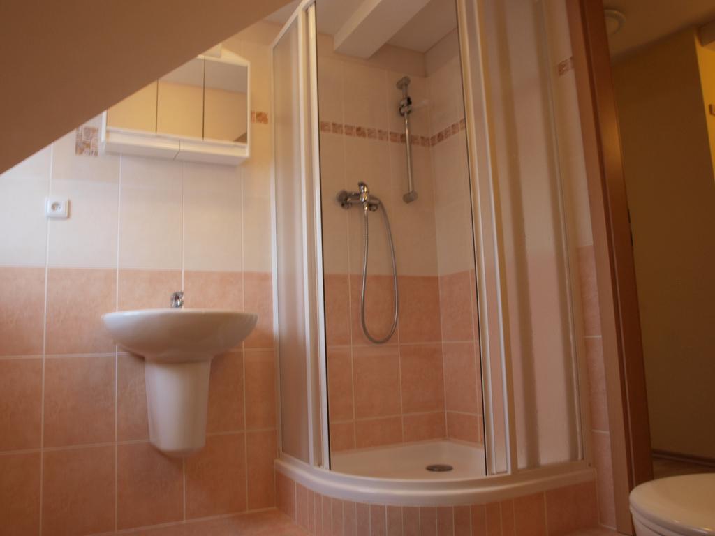 Apartments Viktoria Klinovec Kovarska Luaran gambar