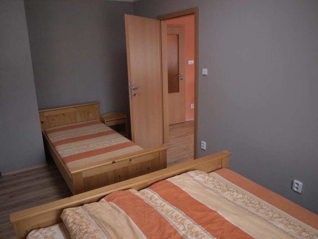 Apartments Viktoria Klinovec Kovarska Luaran gambar
